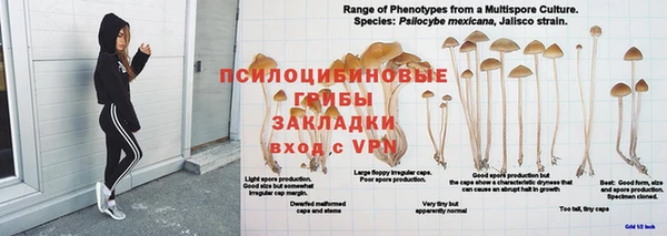 альфа пвп Горно-Алтайск